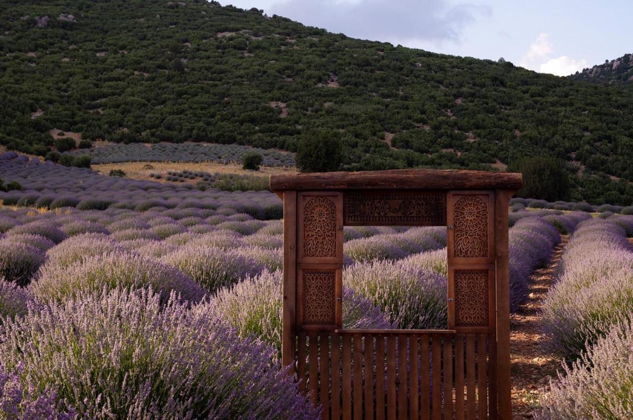 Aliya Konak - Koey Evi Ve Lezzetleri Isparta Exterior photo